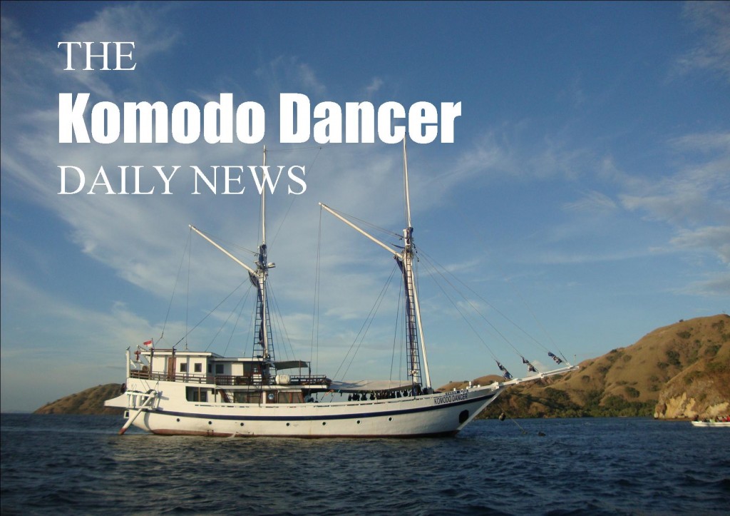 Komodo Dancer